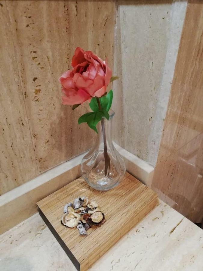 Residencial Delta Garden'S Apartment Sant Jaume d'Enveja Ngoại thất bức ảnh